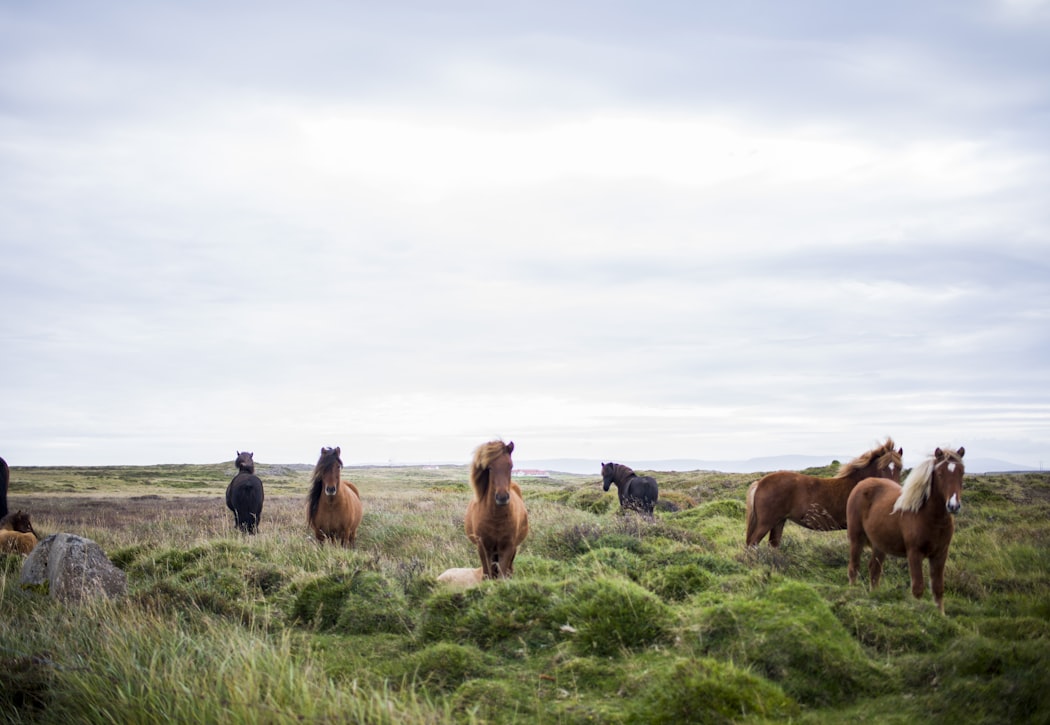 Photo By Bethany Legg